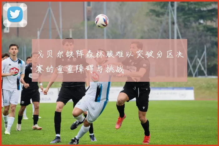 戈贝尔缺阵森林狼难以突破分区决赛的重重障碍与挑战